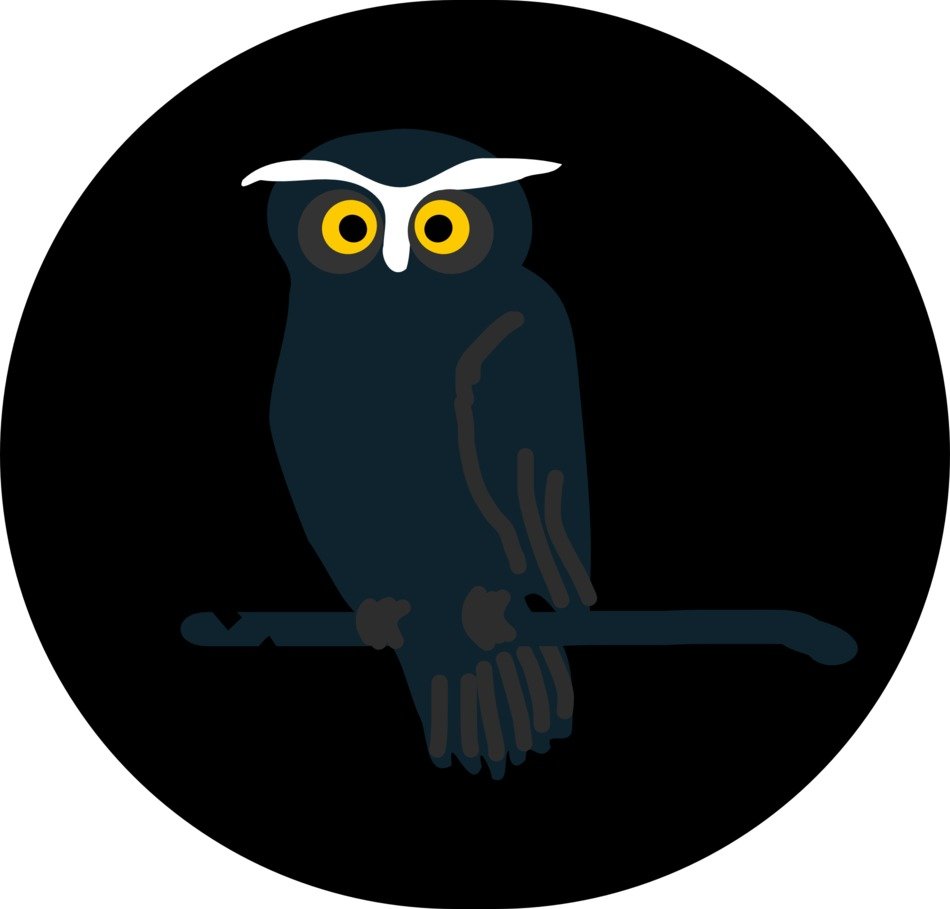 owl dark black grey bird yellow