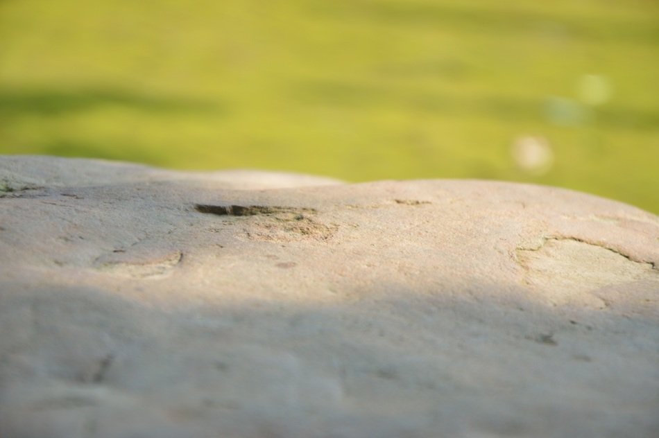 stone clean background nature