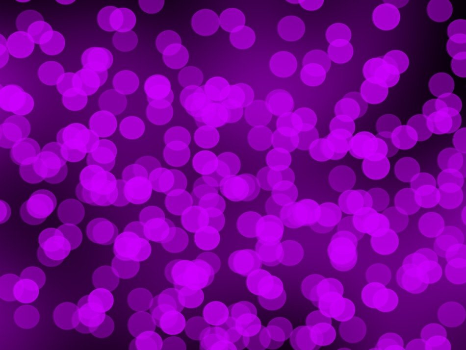 lights violets purple bright