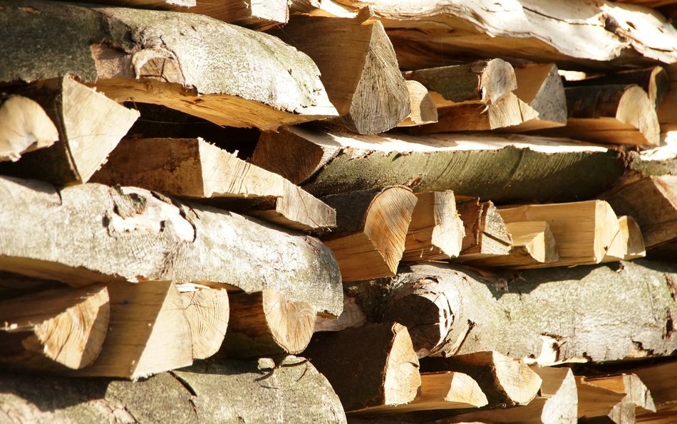 firewood nature landscape craft
