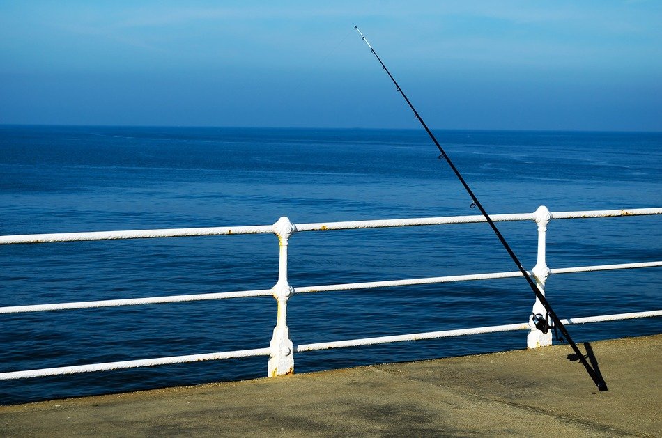fishing sea fish hobby job