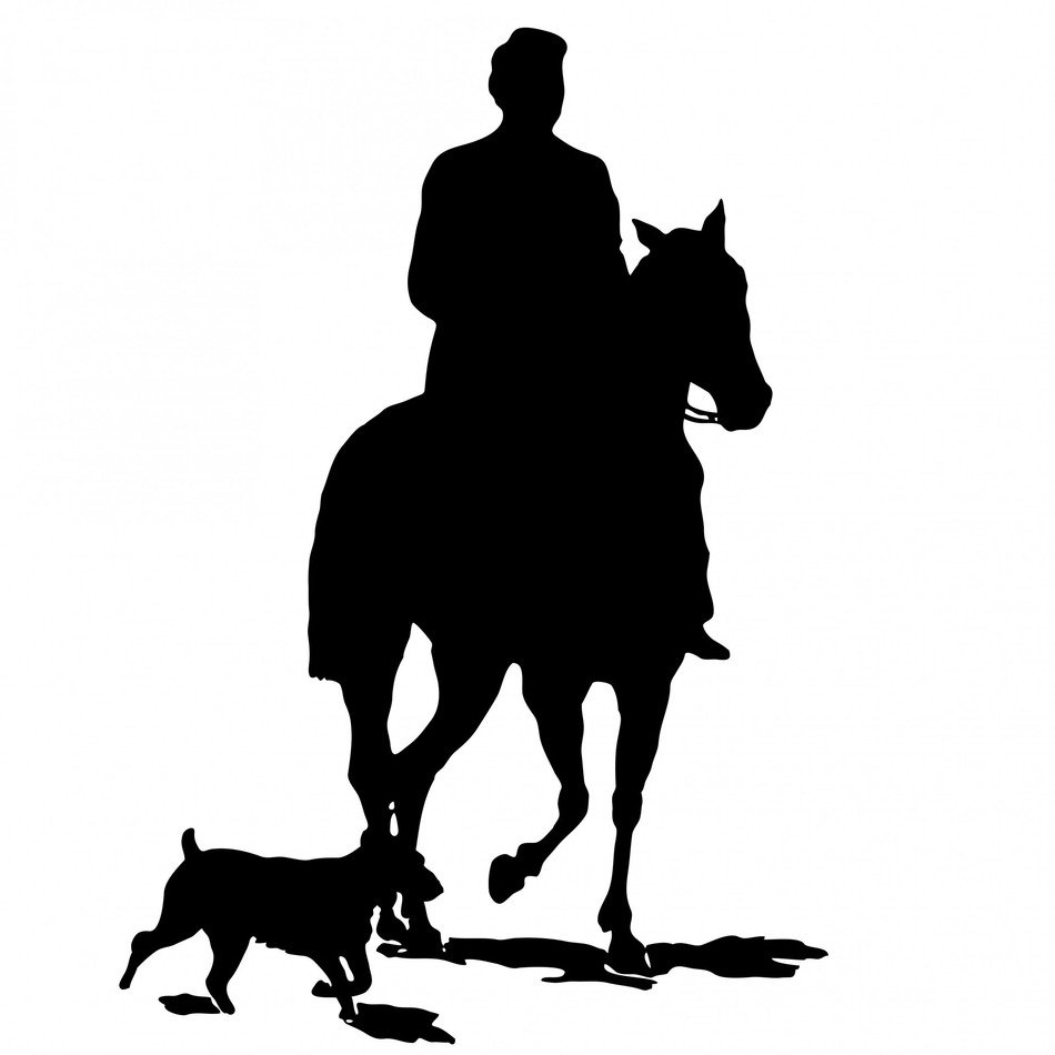 horse dog man person male