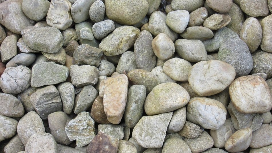 stones about plump background
