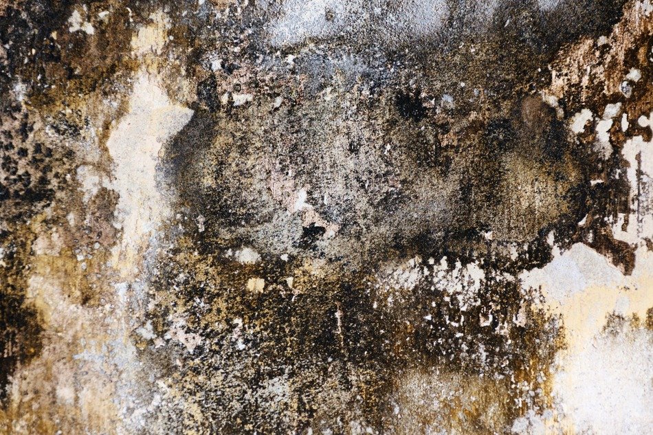 abstract background bad damp