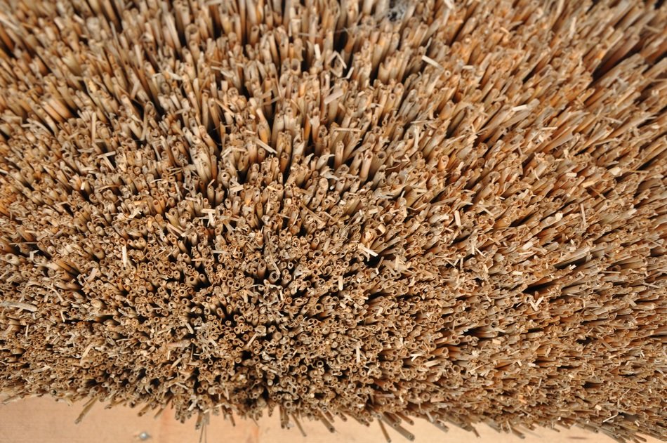 straw nature background rural
