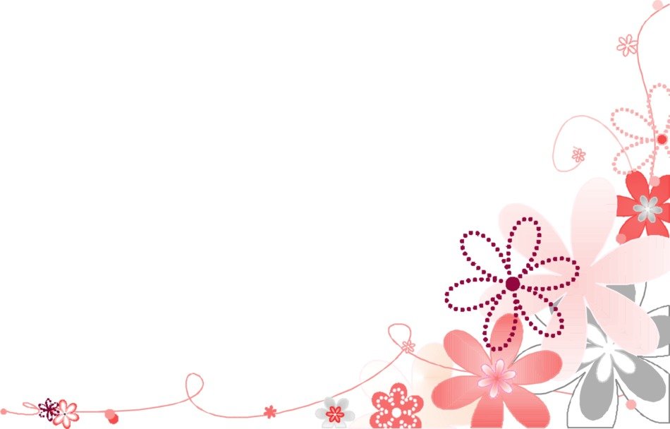 pink flower flowers white