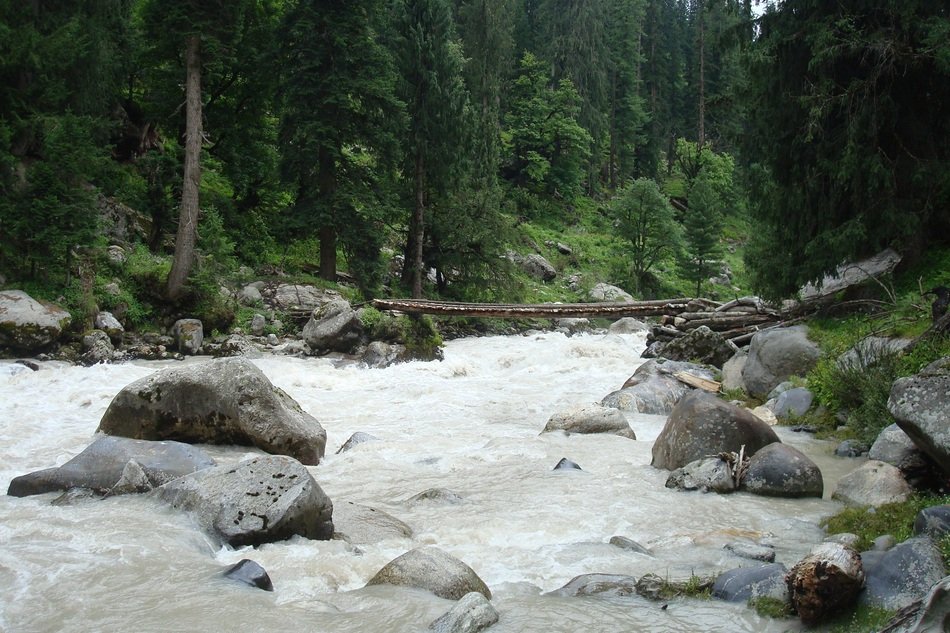 wooden bridge river water