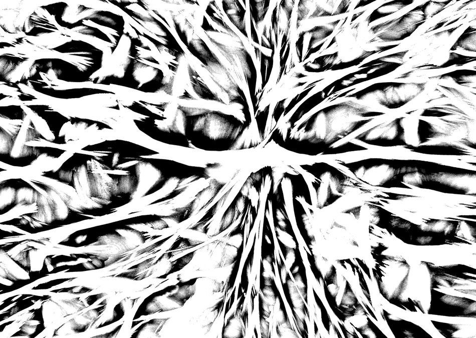 crazy pattern texture template
