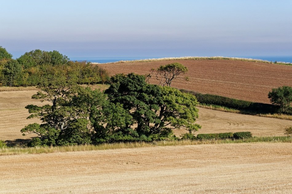 countryside landscape trees nature