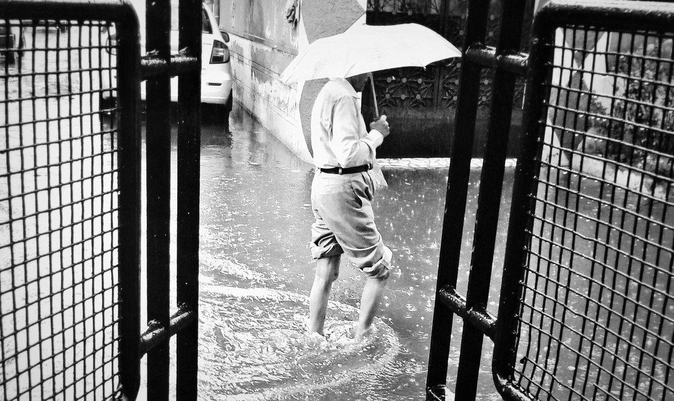 rain drop after drops