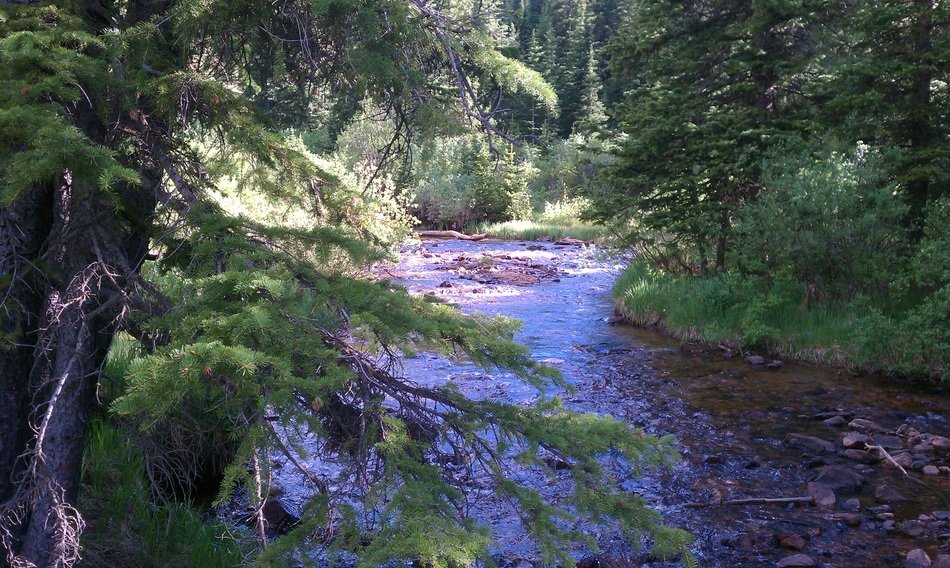 stream water waterfall forest