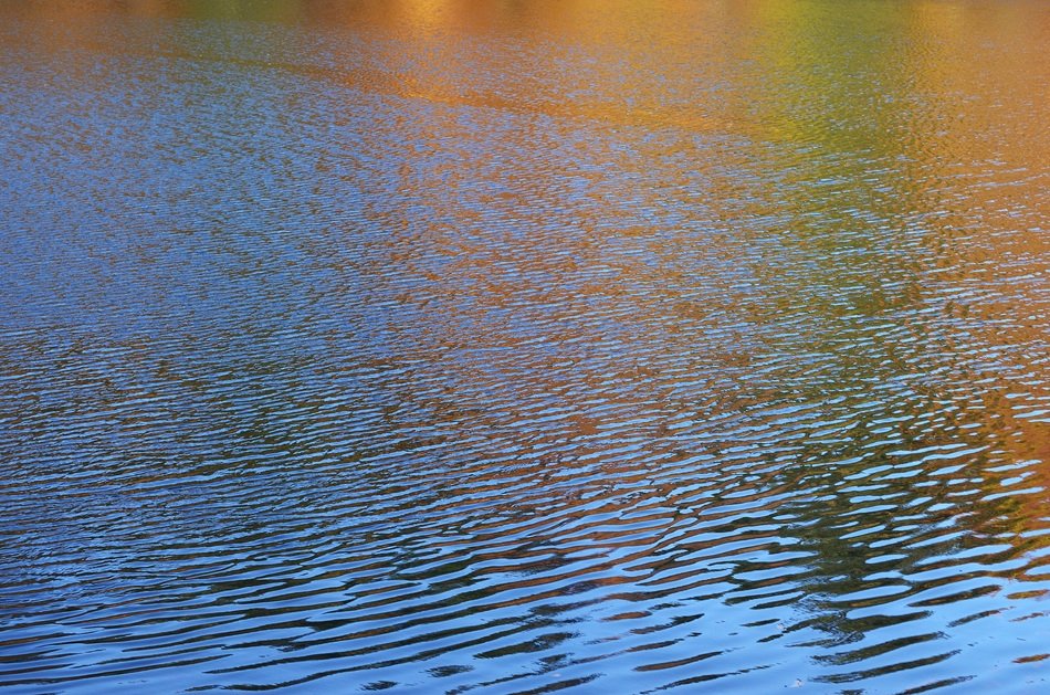 water pond lake stream wave