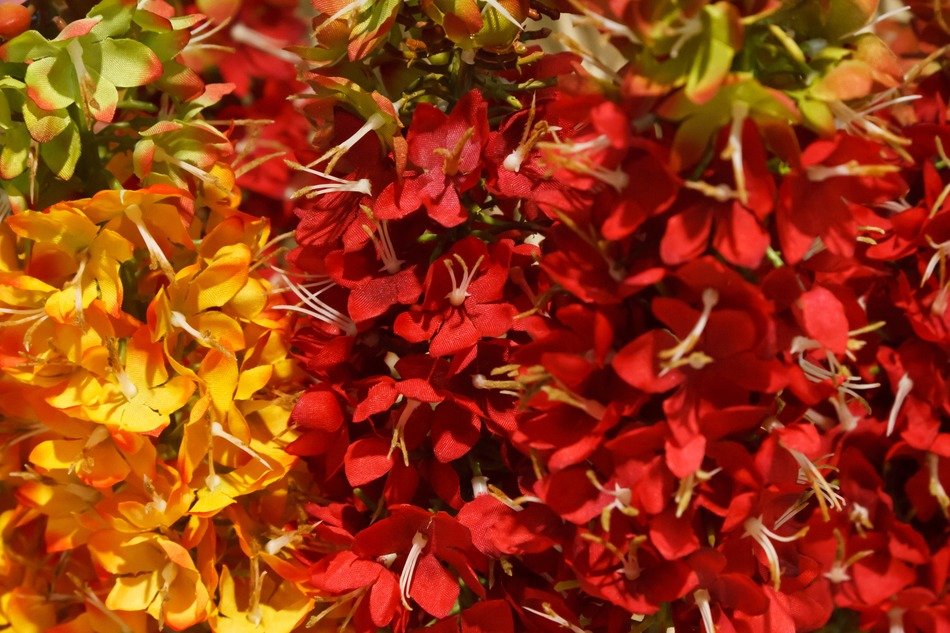 artificial background bloom blossom