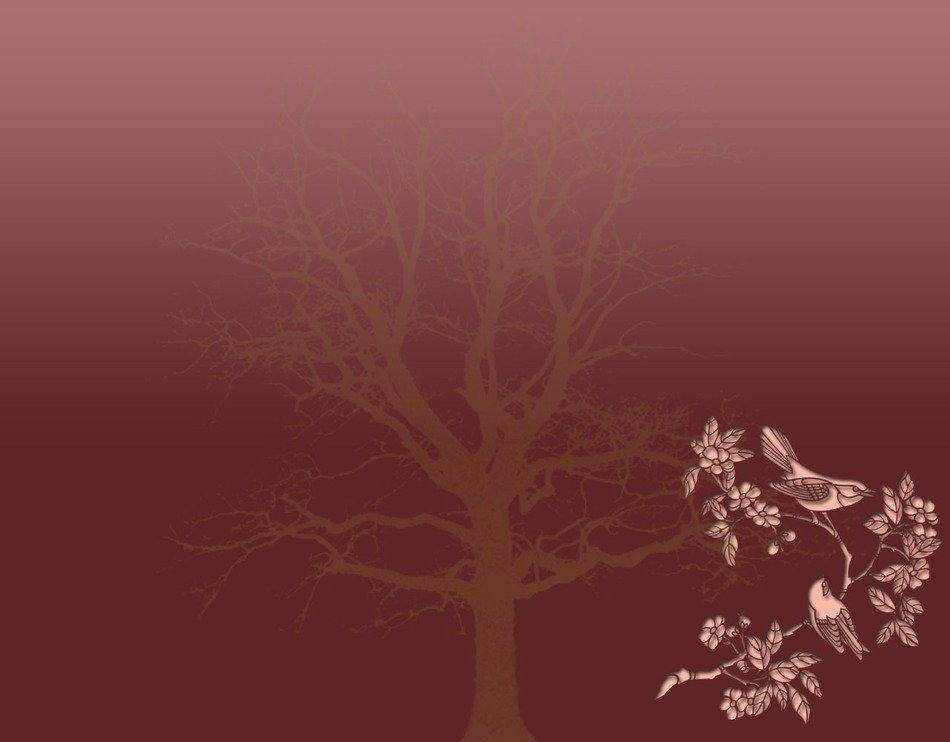 floral flowers relaxing red birds