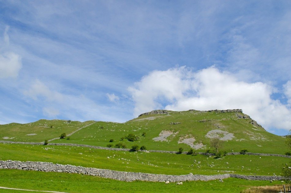 landscape with stone fences in summer