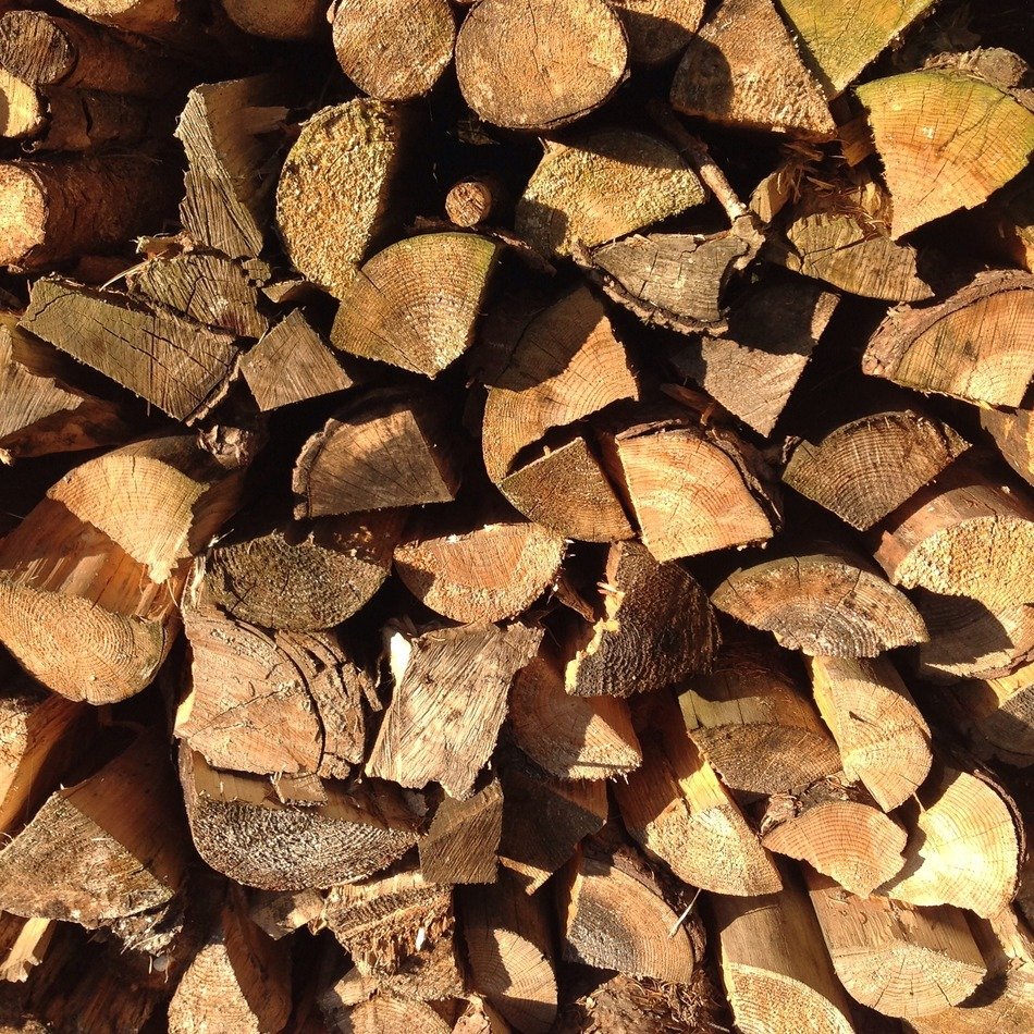 wood pattern still life