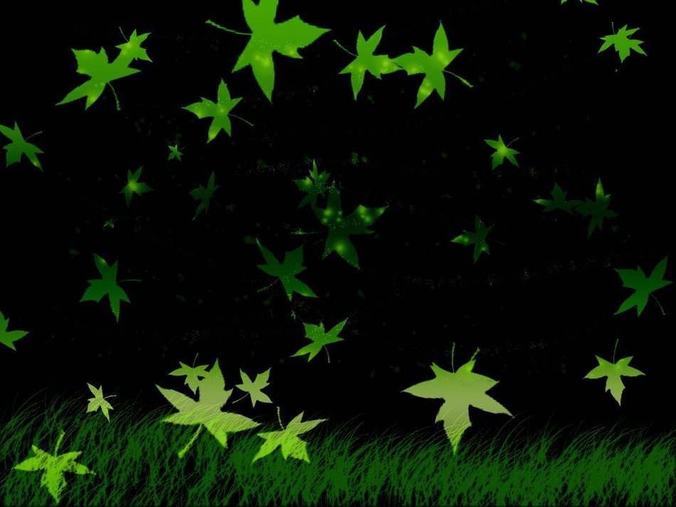 foliage grass black the background