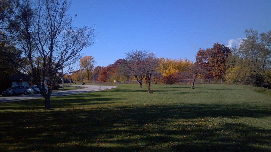 autumn trees fall season nature