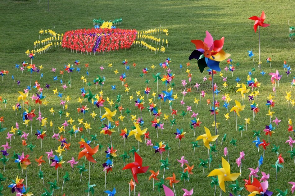 windmill grass
