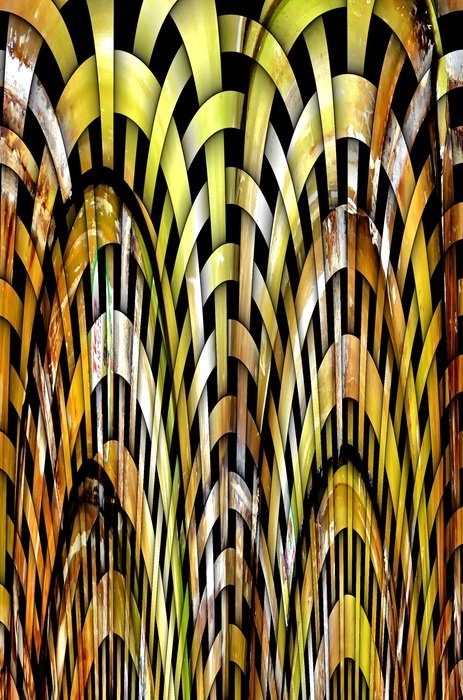 graphic wallpaper abstract jungle