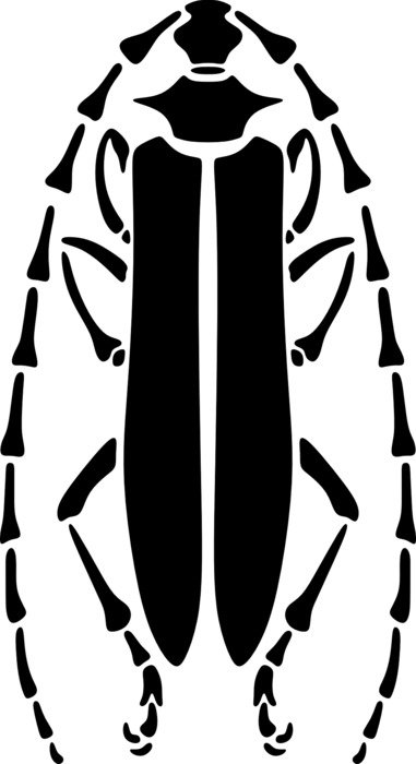 beetle longhorn pattern stencil