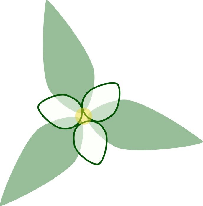 flower design floral pattern