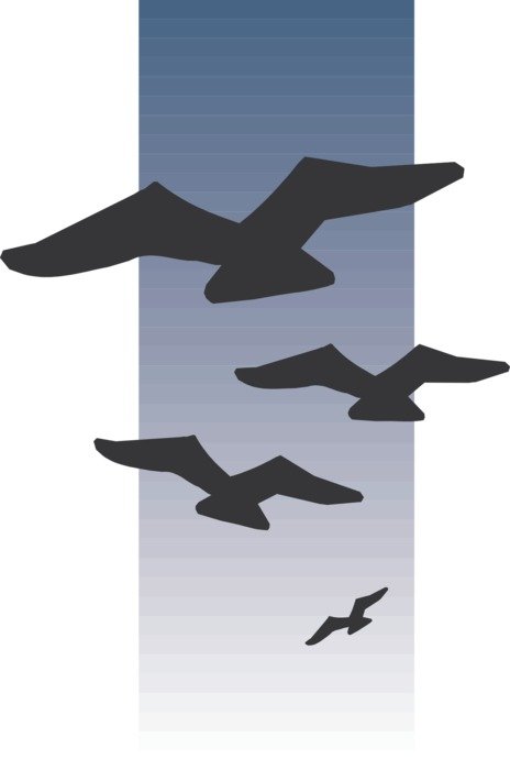 birds flying silhouettes black