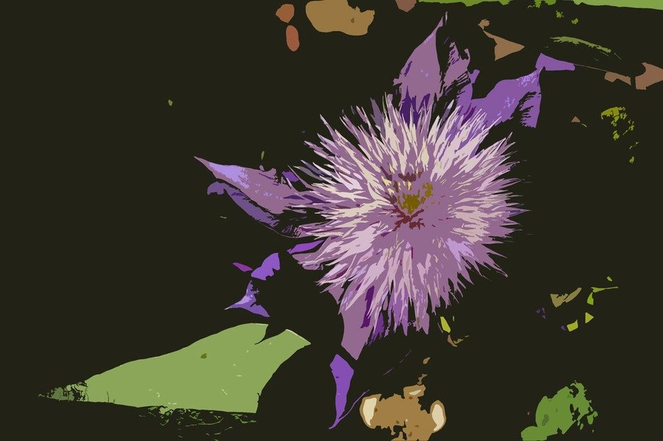 background flower clematis black