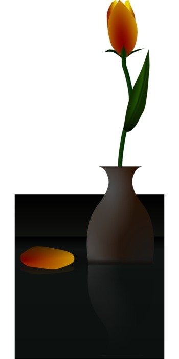 flower vase tulip yellow golden