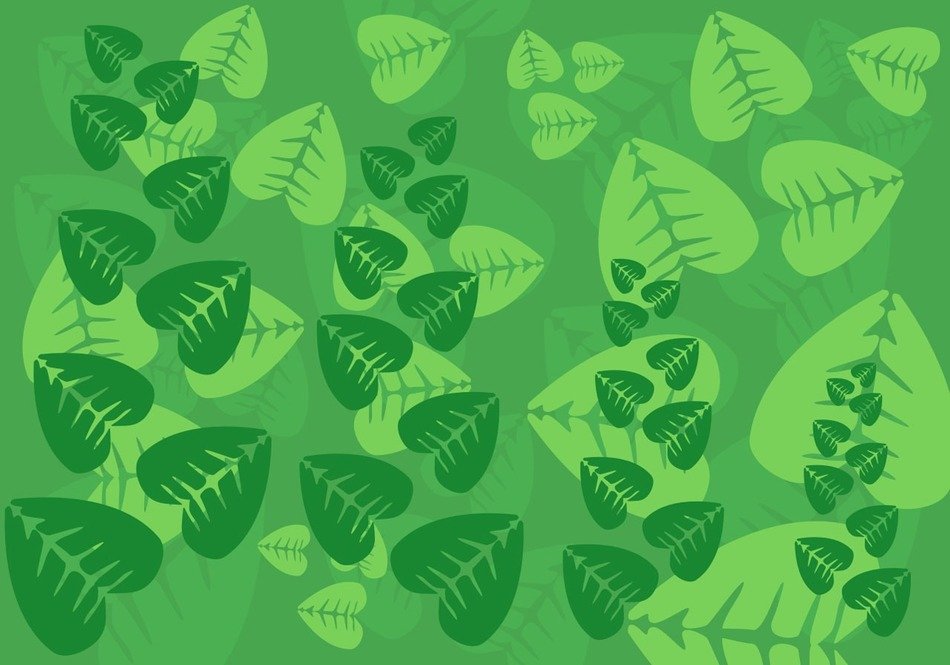 leaves leaf background green