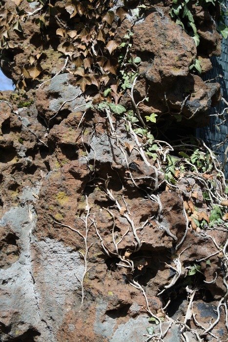stone moss texture old rock
