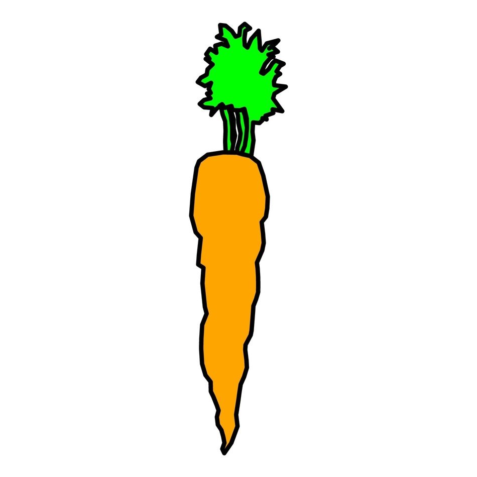 carrot vegetable simple healthy