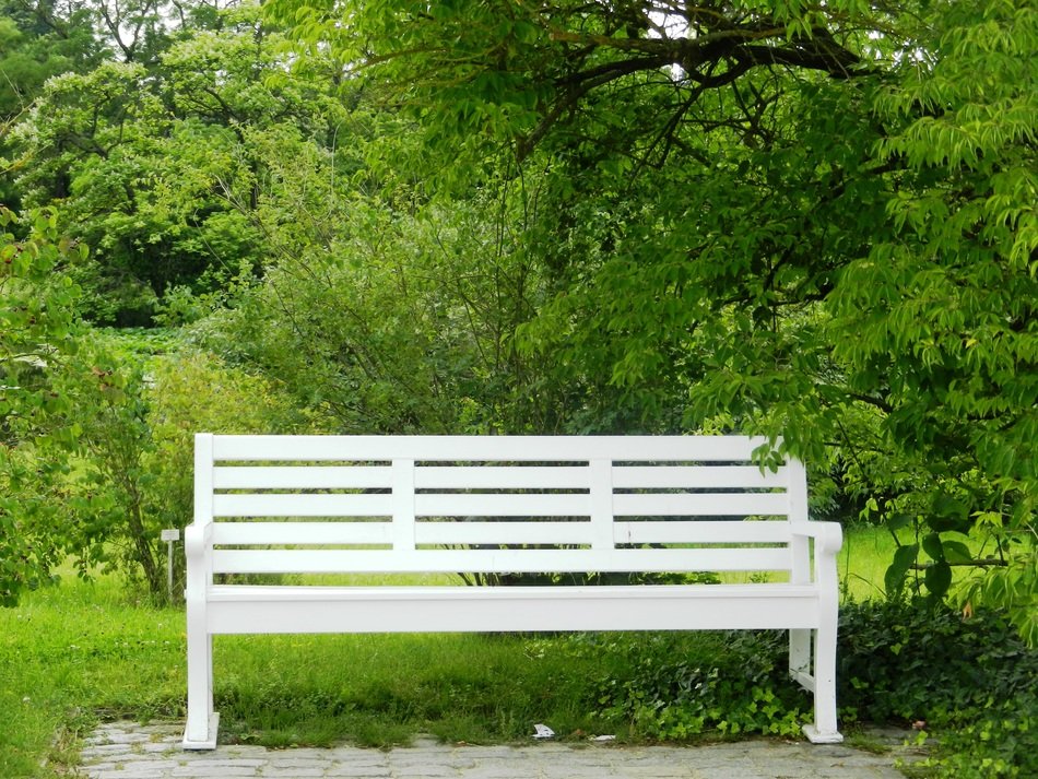 bench peace of mind park loneliness