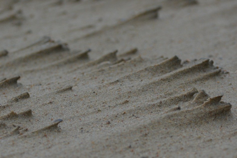 roughness of sand on the beach