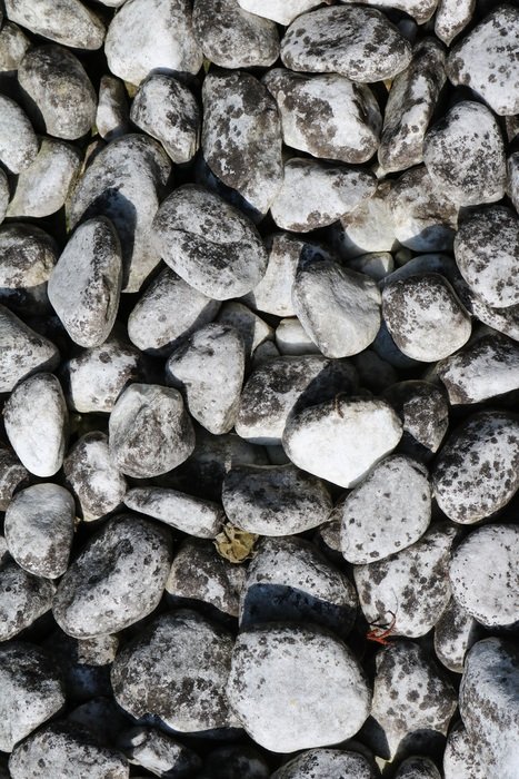 stones texture soil black white