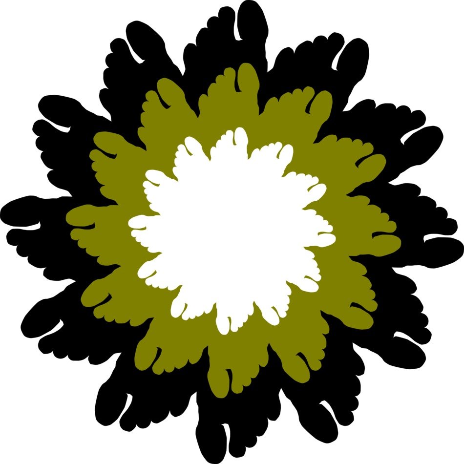 flower abstract pattern