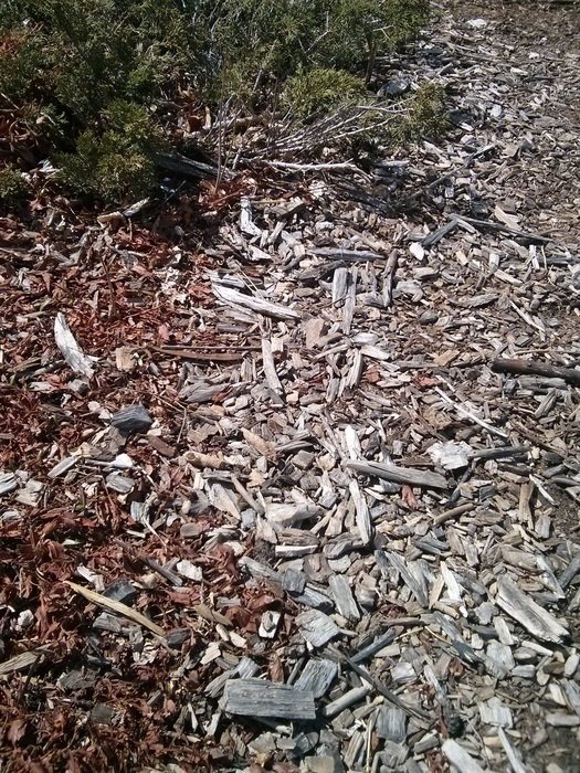 wood chips material nature raw