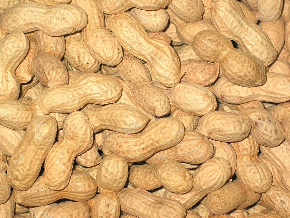 plenty of peanuts in shells