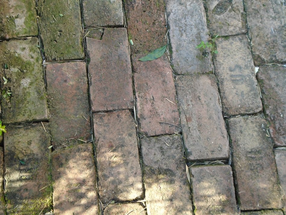 brick pavement old region garden