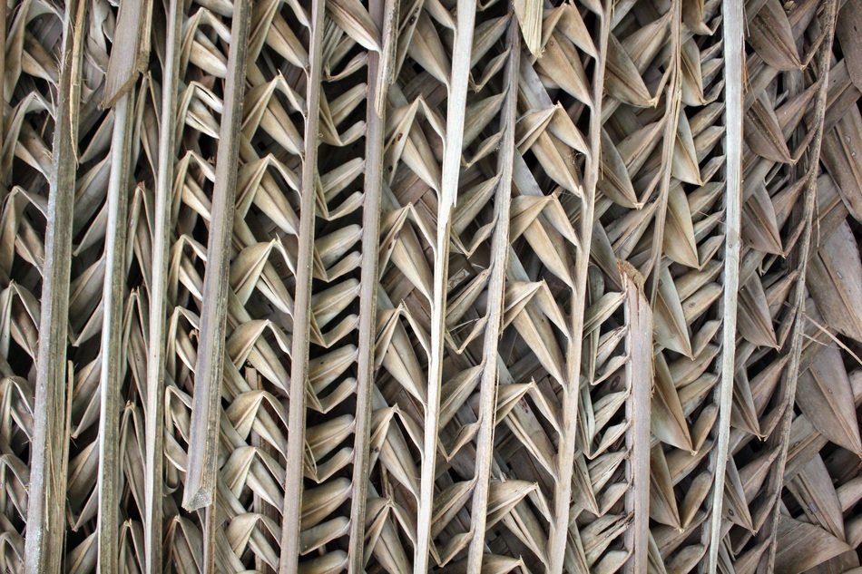 palm leaves dry weaved backdrop