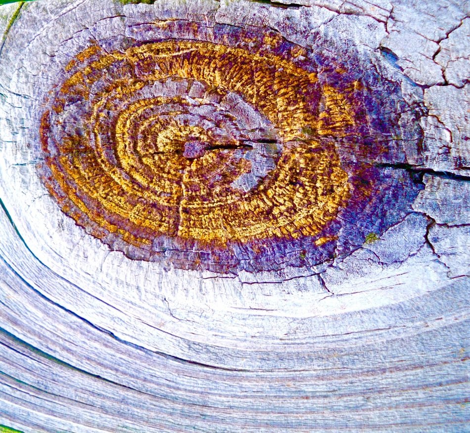 knot nebula constellation weathered