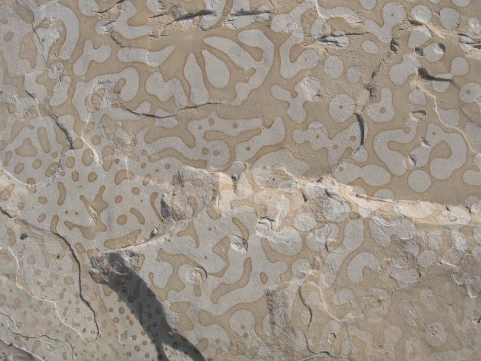 rock pattern design stone