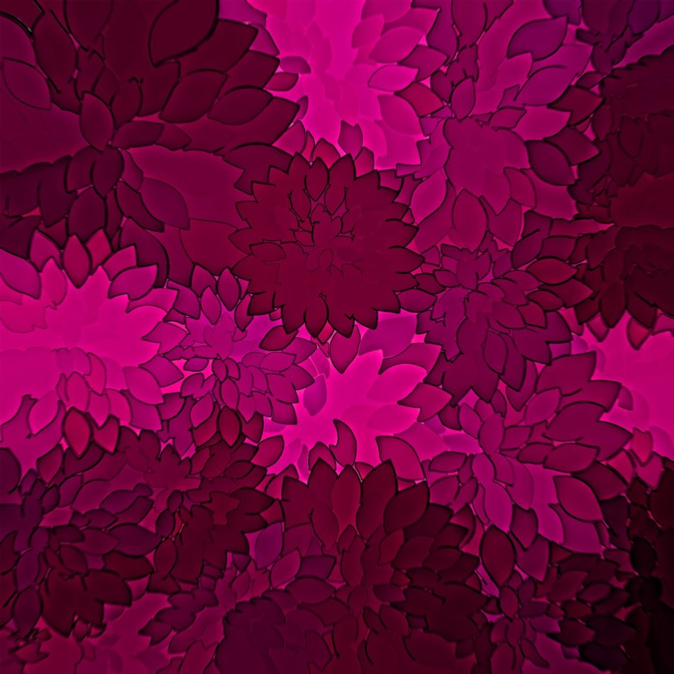 dahlia art floral purple magenta