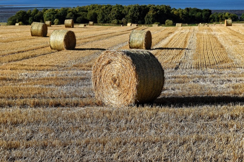 bales of farm