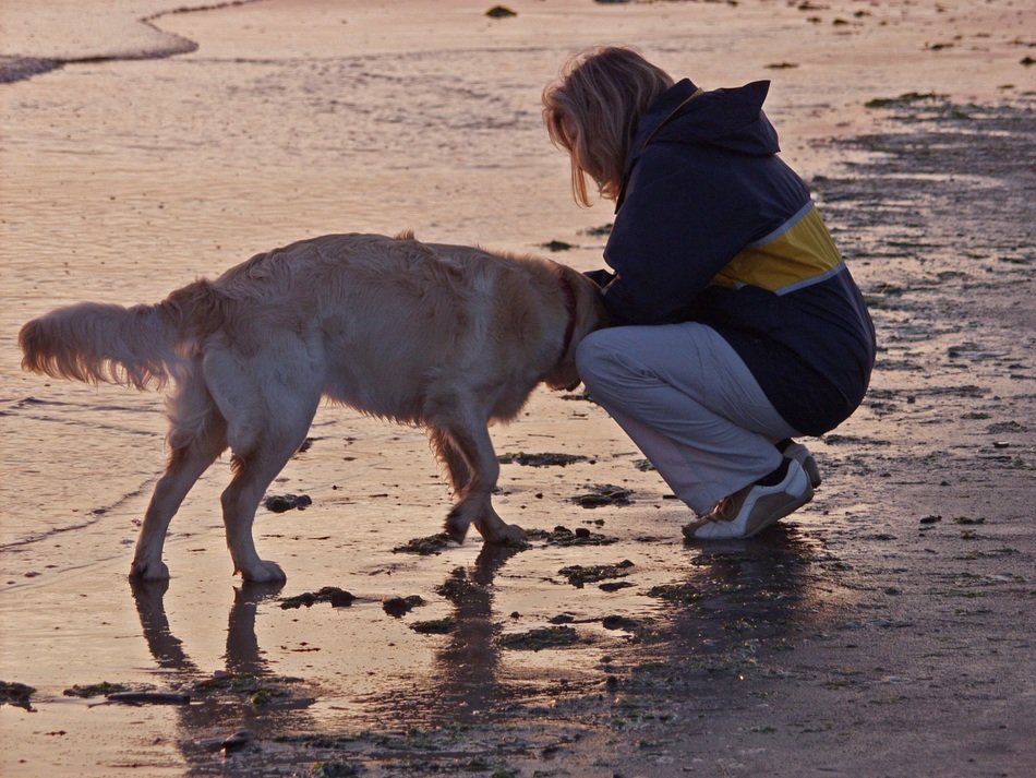 a woman with a labrador on the shore