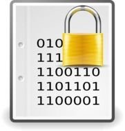 Document Icon N2