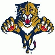 Florida Panthers Logo N2