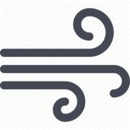 Weather Forecast Icon Windy