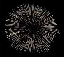 Animated Fireworks Clip Art N6