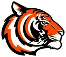 Tiger Logo drawing